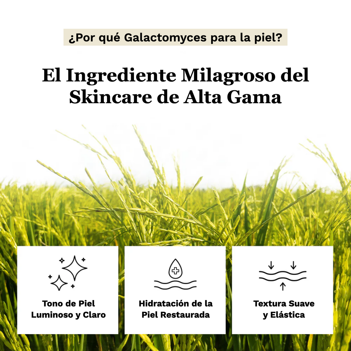 Mixsoon Galactomyces Toner Pad
