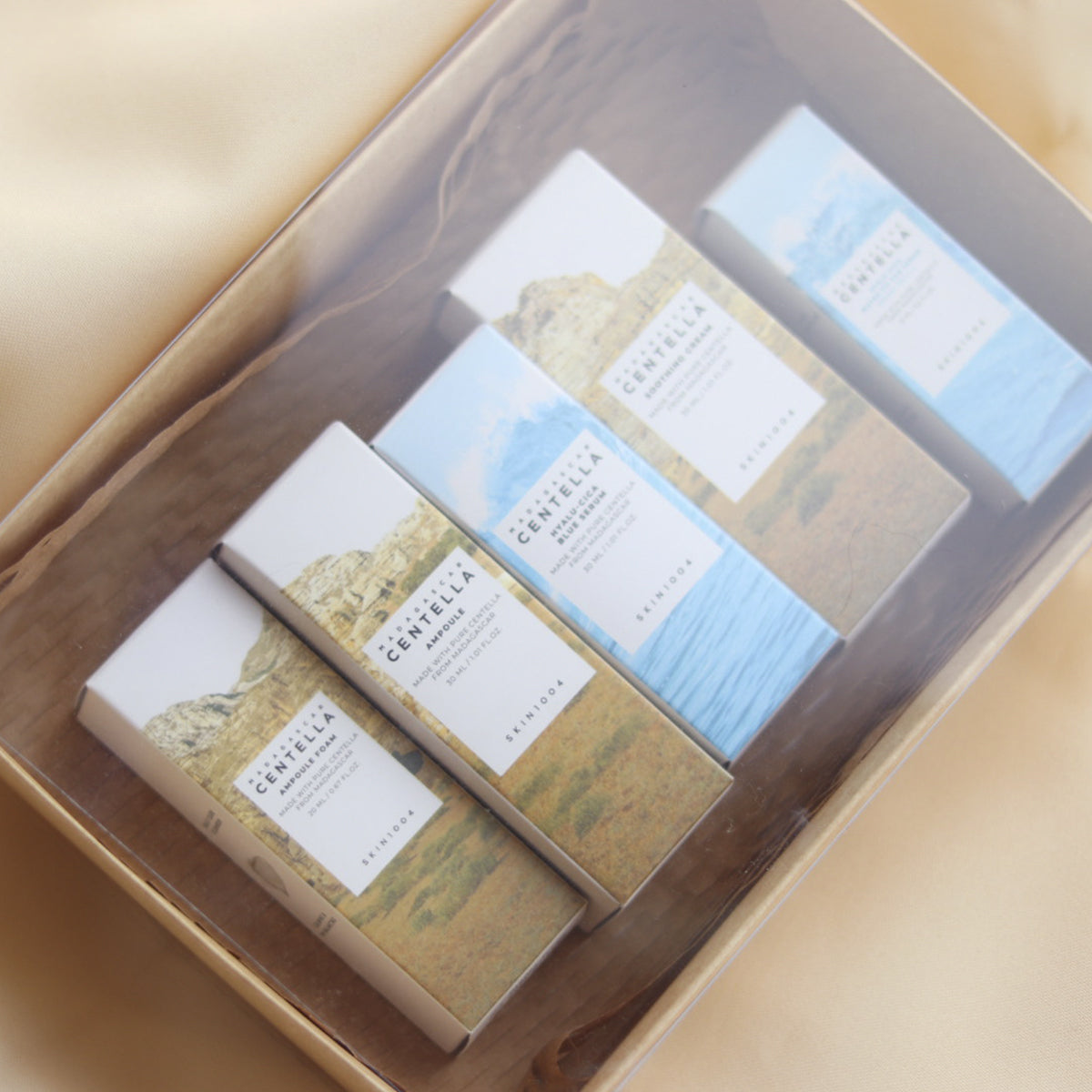 SKIN 1004 - Travel Size Kit