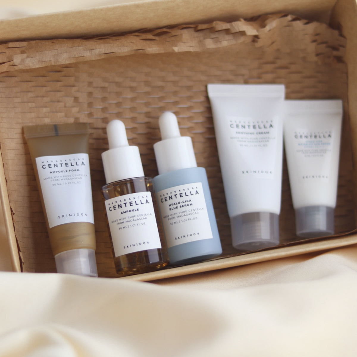 SKIN 1004 - Travel Size Kit